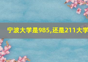 宁波大学是985,还是211大学