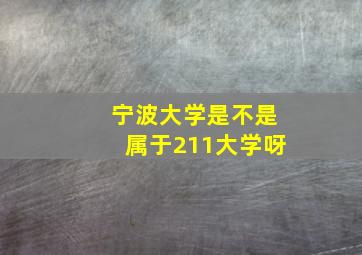 宁波大学是不是属于211大学呀