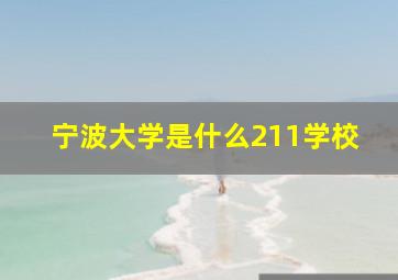 宁波大学是什么211学校