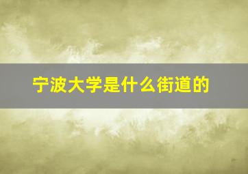 宁波大学是什么街道的