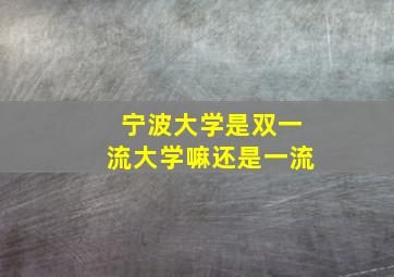 宁波大学是双一流大学嘛还是一流