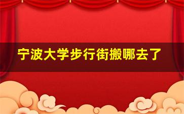 宁波大学步行街搬哪去了