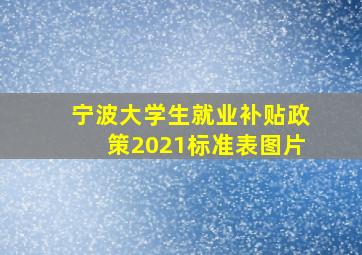 宁波大学生就业补贴政策2021标准表图片