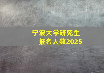 宁波大学研究生报名人数2025