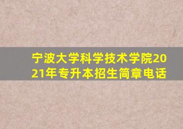 宁波大学科学技术学院2021年专升本招生简章电话