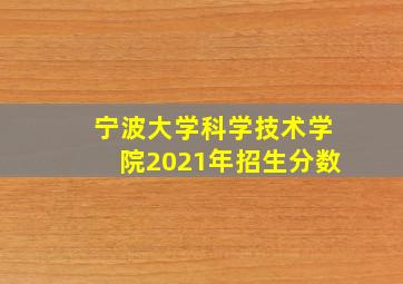 宁波大学科学技术学院2021年招生分数