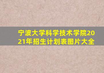 宁波大学科学技术学院2021年招生计划表图片大全