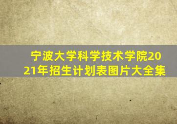 宁波大学科学技术学院2021年招生计划表图片大全集