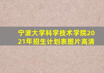 宁波大学科学技术学院2021年招生计划表图片高清