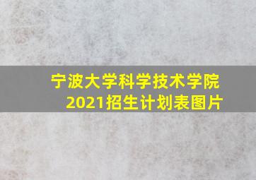 宁波大学科学技术学院2021招生计划表图片