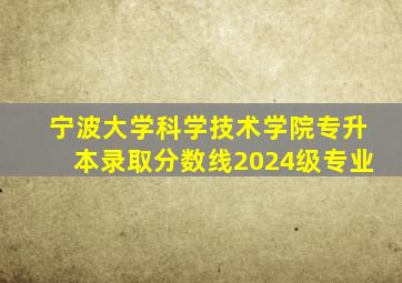 宁波大学科学技术学院专升本录取分数线2024级专业