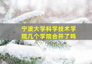 宁波大学科学技术学院几个学院合并了吗