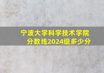 宁波大学科学技术学院分数线2024级多少分