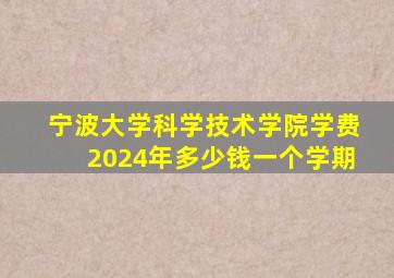 宁波大学科学技术学院学费2024年多少钱一个学期