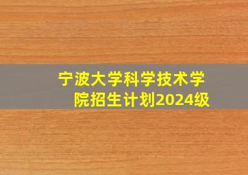 宁波大学科学技术学院招生计划2024级