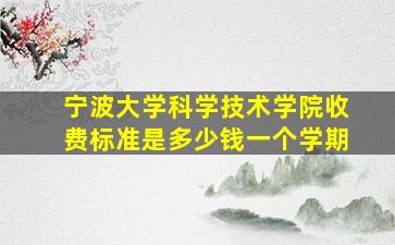 宁波大学科学技术学院收费标准是多少钱一个学期