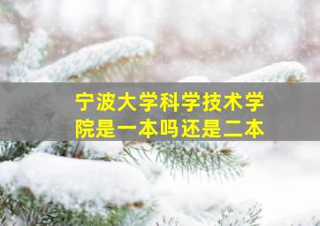 宁波大学科学技术学院是一本吗还是二本