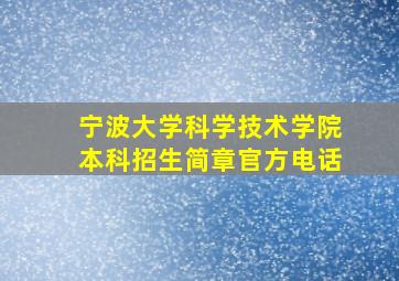 宁波大学科学技术学院本科招生简章官方电话