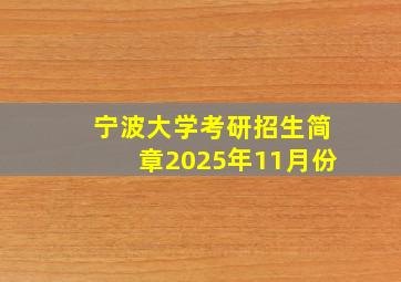 宁波大学考研招生简章2025年11月份