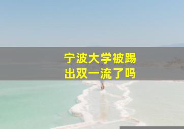 宁波大学被踢出双一流了吗