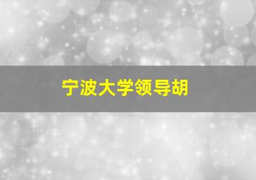 宁波大学领导胡