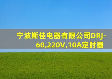 宁波斯佳电器有限公司DRJ-60,220V,10A定时器