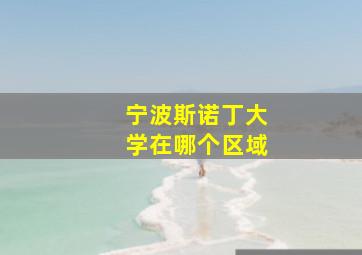 宁波斯诺丁大学在哪个区域