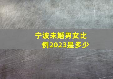 宁波未婚男女比例2023是多少