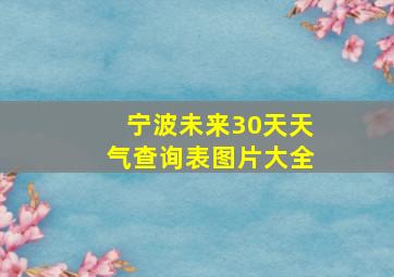 宁波未来30天天气查询表图片大全