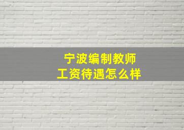 宁波编制教师工资待遇怎么样