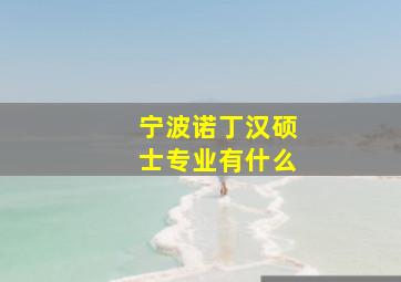 宁波诺丁汉硕士专业有什么