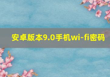 安卓版本9.0手机wi-fi密码