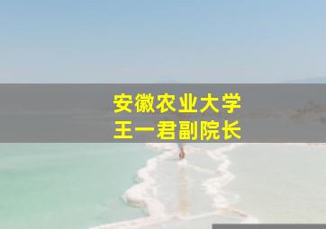 安徽农业大学王一君副院长