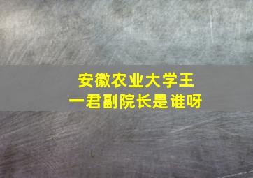 安徽农业大学王一君副院长是谁呀