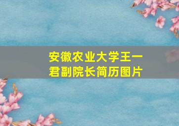 安徽农业大学王一君副院长简历图片