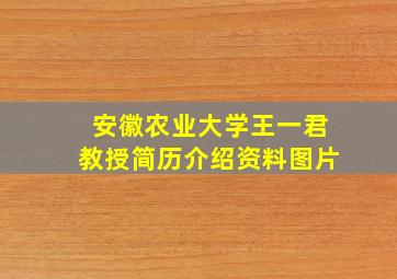 安徽农业大学王一君教授简历介绍资料图片