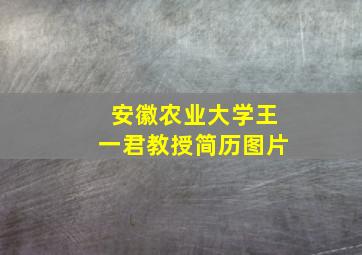 安徽农业大学王一君教授简历图片