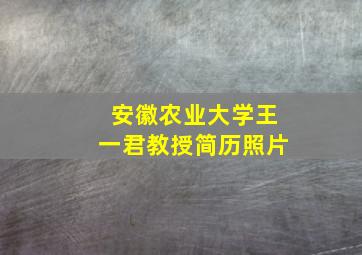 安徽农业大学王一君教授简历照片