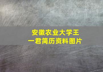 安徽农业大学王一君简历资料图片