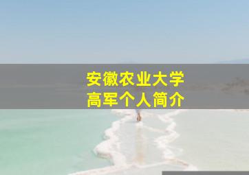 安徽农业大学高军个人简介