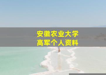 安徽农业大学高军个人资料