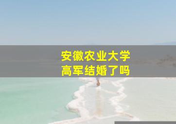 安徽农业大学高军结婚了吗