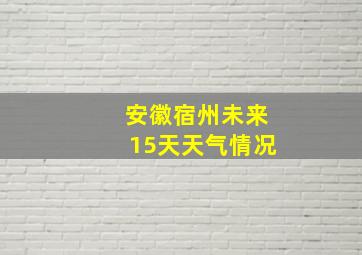 安徽宿州未来15天天气情况