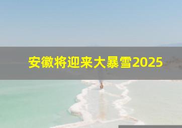 安徽将迎来大暴雪2025