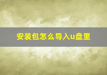 安装包怎么导入u盘里