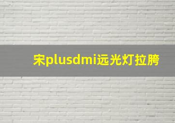 宋plusdmi远光灯拉胯