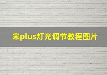 宋plus灯光调节教程图片