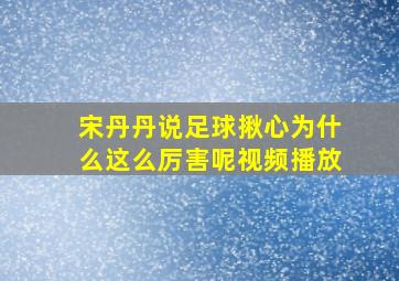 宋丹丹说足球揪心为什么这么厉害呢视频播放