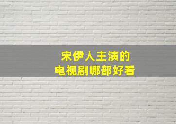 宋伊人主演的电视剧哪部好看