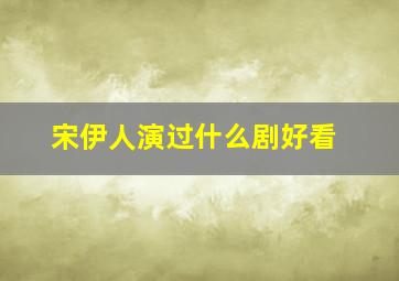 宋伊人演过什么剧好看